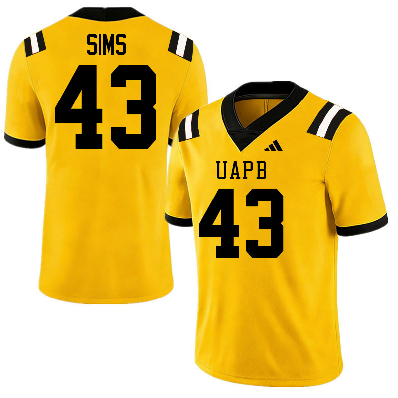 Arkansas-Pine Bluff Golden Lions #43 KJ Sims College Football Jerseys,Uniforms-Gold